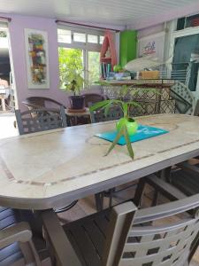 a table with a plant on top of it at Banian Camping petit déjeuner offert in Bora Bora