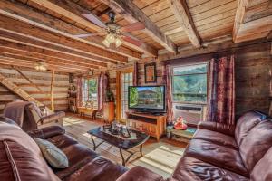 a living room with a couch and a tv at Pondview Cabin - Rustic Log Style Home, Grill, Wifi, Screen Porch, Trail, View, Pond Access, King Bed in Morton Grove