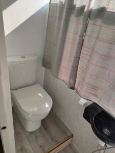 a bathroom with a toilet and a shower curtain at terrebioBus in Visnadello