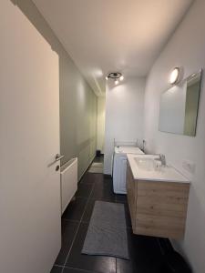 une salle de bains avec un lavabo et un miroir dans l'établissement The2C, à Godshuis