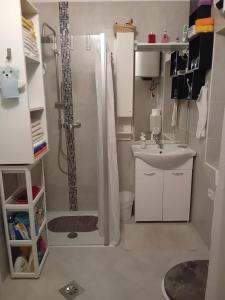a small bathroom with a shower and a sink at APARTMA BrdonKA in Dobrovo +15 photos