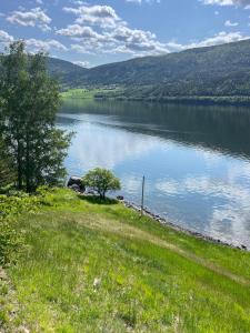 a view of a lake with a tree on the shore at Vetleberget - simple living in Vaga +22 photos
