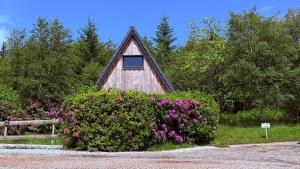 a small house with a window in a bush with flowers at 1 Bedroom Cabin with Mountain & Loch Views - Quiet Location between Glencoe & Ben Nevis in Onich