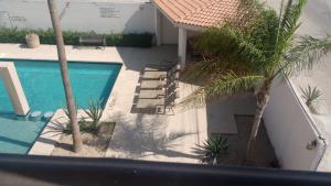 an overhead view of a swimming pool with a palm tree at Hotel palma de oro in Puerto Peñasco