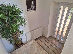 a hallway with a door and two potted plants at Marilyn Apartment in Nitra +9 photos