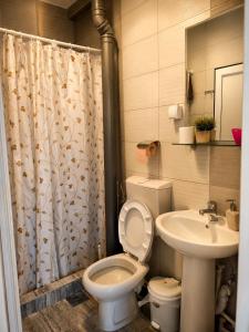 a bathroom with a toilet and a sink at Apartments Maja in Star Dojran +106 photos
