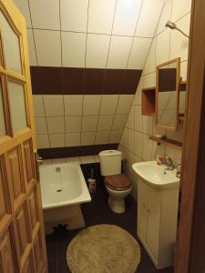 a small bathroom with a toilet and a sink at Kitajówka in Bańska Wyżna