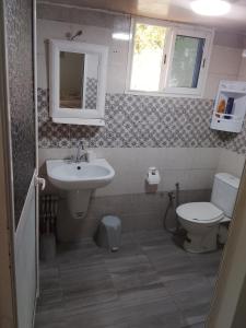 a bathroom with a sink and a toilet at Studio in La Goulette
