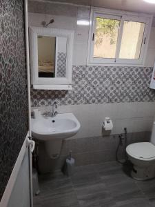a bathroom with a sink and a toilet and a mirror at Studio in La Goulette