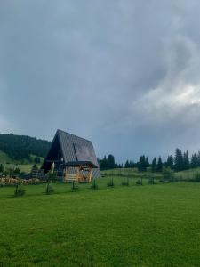 a barn in a field with a green field at Chalet Charme Bucovina in Coşna