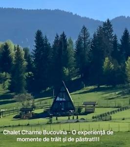a tent in a field with benches and trees at Chalet Charme Bucovina in Coşna