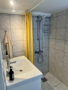 a bathroom with a sink and a shower at The Blue Country House in Nørre Broby