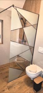 a bathroom with a toilet and a glass wall at Cabana Bogdan Rânca in Ranca +45 photos