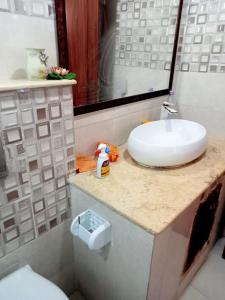 a bathroom with a sink and a toilet at Pieds dans l'Eau Douaouda in Fouka