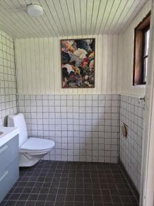a bathroom with a toilet and a painting on the wall at Scandinavian forest retreat in Ljungbyhed +11 photos
