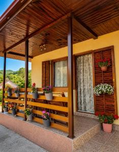 a house with potted plants on the porch at Nature escape cottage in Cetinje