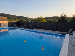 a swimming pool with two toys in the water at Rooms GRIZZLY in Slunj