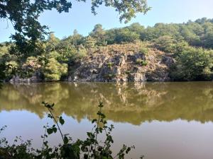 a view of a body of water with trees at Les Roches Blanches Emplacements tente, caravane, camping-car in Guenroc +10 photos
