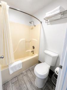 a small bathroom with a toilet and a shower at Evergreen Inn in Branson +6 photos