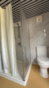 ein Badezimmer mit Dusche und Toilette in der Unterkunft Tinyhouse De Einder in Pieterburen