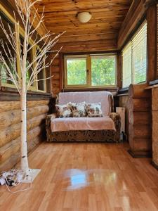 a living room with a couch in a log cabin at Outbreak 3 bedroom house with outdoor pool, BBQ and dining in Pirita in Corjova