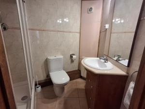 a small bathroom with a toilet and a sink at Setcases-Vallter hostal Mitja Pensió 2 in Setcases +36 photos