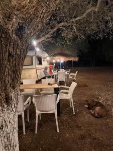a dog laying on the ground next to a table and chairs at SeaGrove Camping in Himare