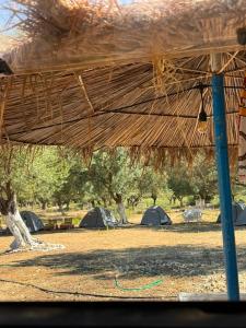 a view of a field with tents in the background at SeaGrove Camping in Himare +14 photos