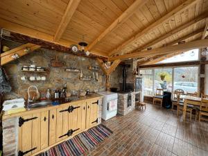 a large kitchen with a sink and a stove at Casa Teodora in Albac