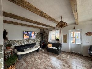 a living room with two couches and a fireplace at Casa Teodora in Albac