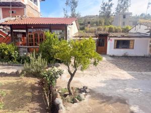 a small tree in a yard next to a building at PatulomaEscape in El Rosario