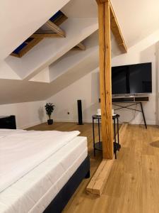 a bedroom with a bed and a flat screen tv at Villa Bianca in Mikołajki