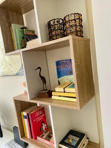 a book shelf with books and a dinosaur on it at the window in Domodossola