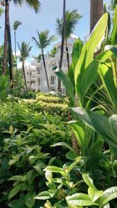 a garden in front of a building with palm trees at Hotel Bloom Garden Beach Punta Cana in Punta Cana +33 photos