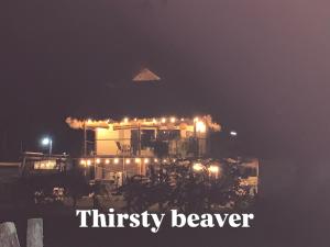 a kite is flying in the sky at night at Thirstybeaver in Playa Santana