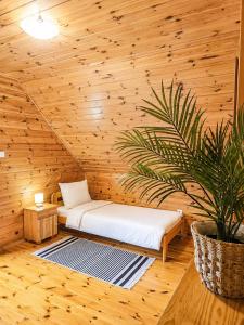 a wooden room with a bed and a potted plant at Morenowa Dolina Rusinowo in Rusinowo