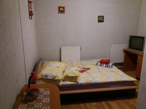 a bedroom with a bed with a tv and a table at Casa Rodisa in Turda
