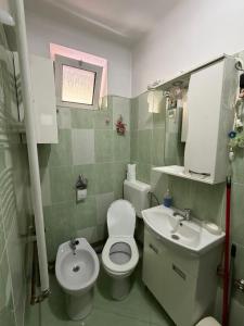 a small bathroom with a toilet and a sink at GZP Residence Lugoj 2 in Lugoj