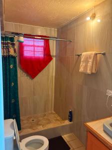 a bathroom with a shower with a toilet and a red towel at Little Escape in The Lime