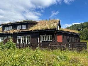 a house with a grass roof on top of it at Sirdal in Dirdal
