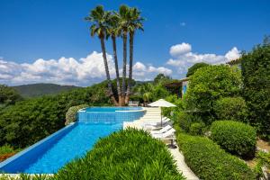 a swimming pool with a palm tree and chairs at Golfvilla Riviera in Grimaud +20 photos
