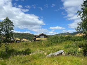 a group of houses on a hill in a field at Sirdal in Dirdal