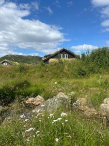 a house in the middle of a grassy field at Sirdal in Dirdal