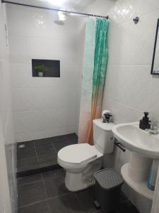 a bathroom with a toilet and a sink at Donde poyito in Sevilla