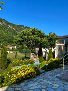 a garden with a tree and flowers in front of a building at Lola Guest House in Vusanje