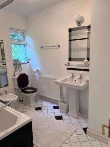 a bathroom with a sink and a toilet and a mirror at Hidden cottage in Abingdon +29 photos