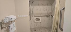 a bathroom with a shower with a glass door at Grapevine Inn in Lodi