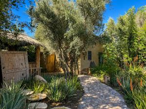 a house with a tree in the yard at Riad chama in Taroudant