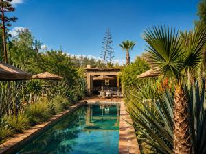 a swimming pool in a yard with a palm tree at Riad chama in Taroudant