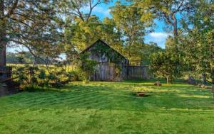 an old barn in the middle of a yard at The Thirlmere Homestead in Thirlmere +17 photos